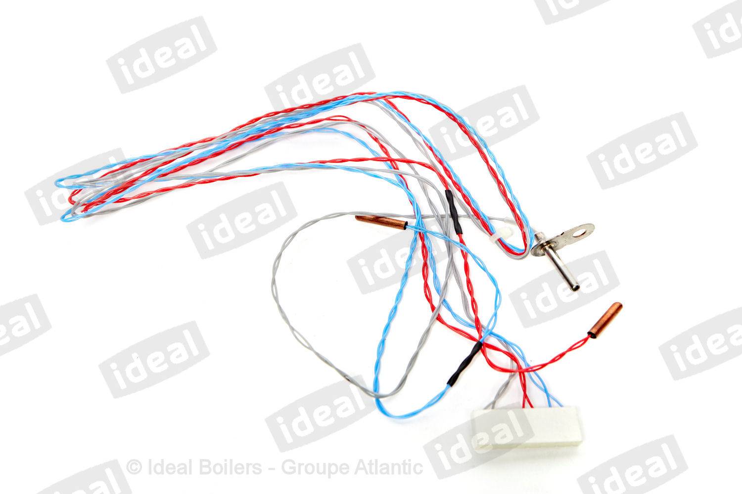 THERMISTORS & HARNESS RD2