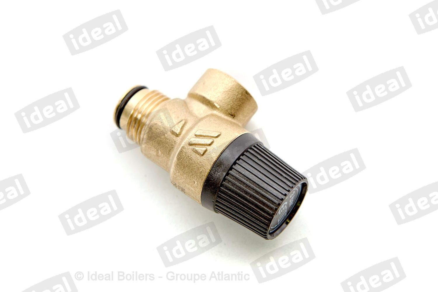 SAFETY VALVE (BI1131 100)